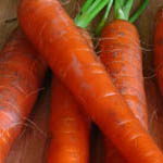 carrot image